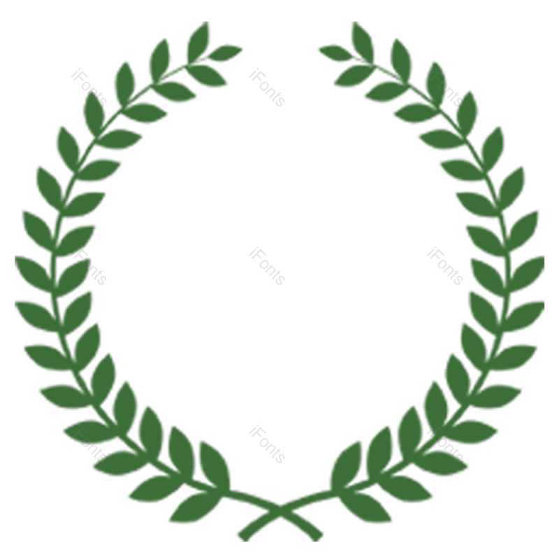 纹理边框图片,橄榄叶元素,矢量元素PNG,植物边框免抠素材